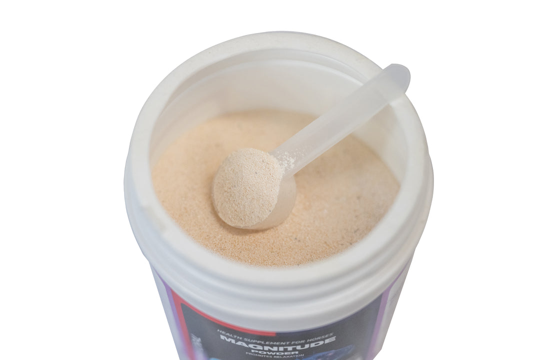 Magnitude Powder