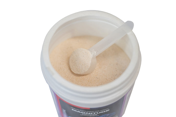 Magnitude Powder