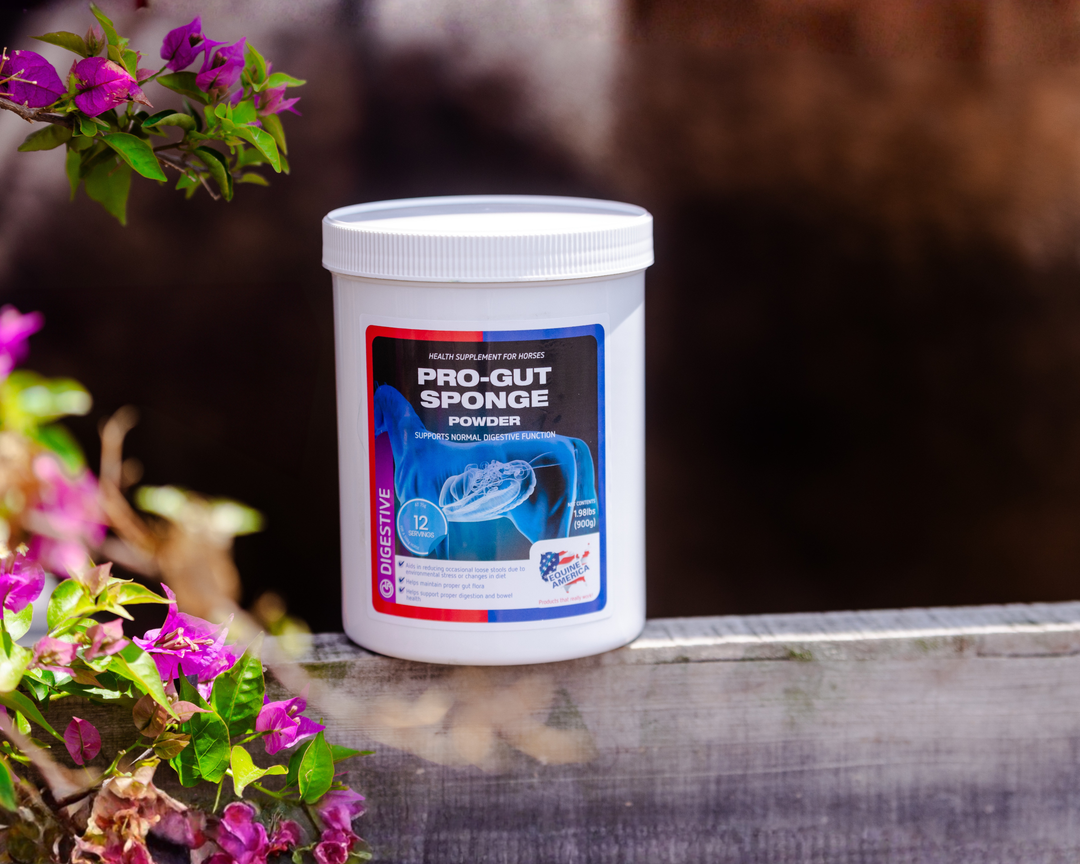 What Helps Firm Up Droppings and Support Gut Health in Horses?