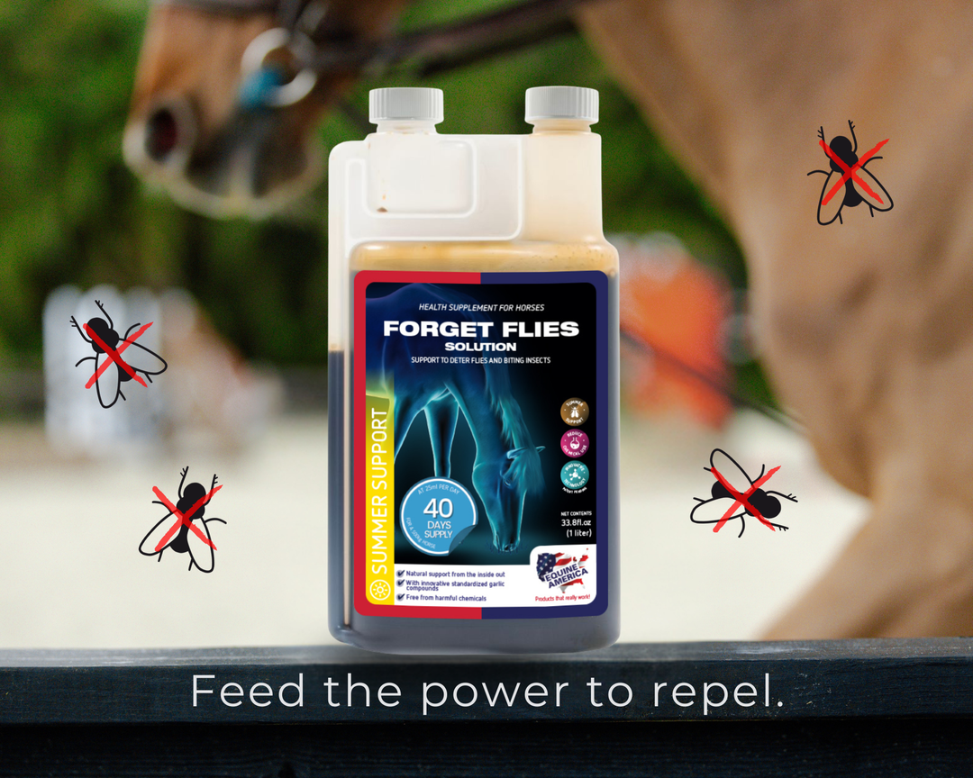 Forget the Flies: A Smarter Approach to Summer Fly Control
