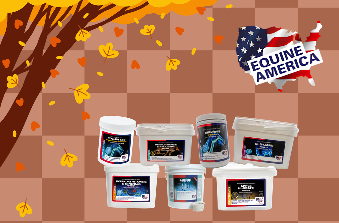 September Is a Good Time to Reassess Your Horse’s Routine