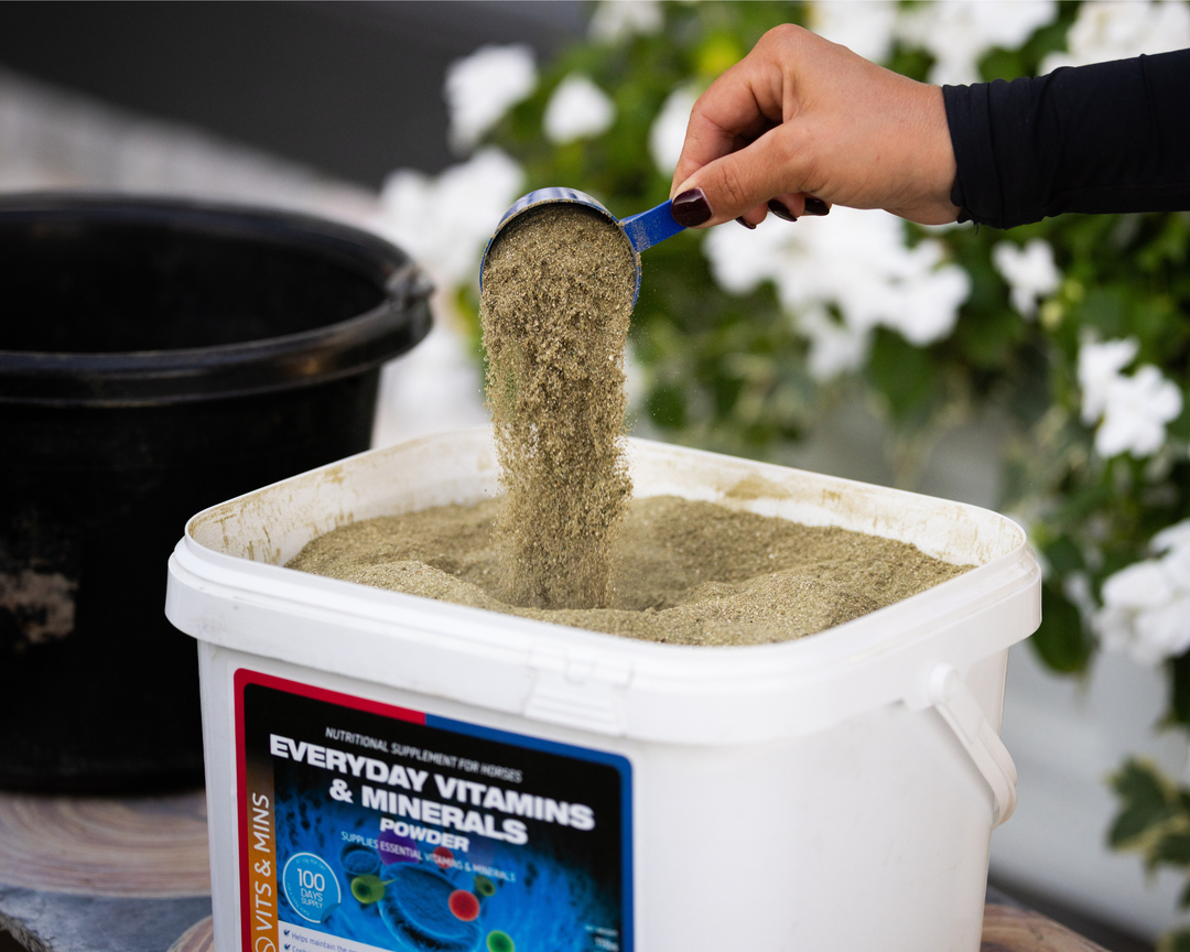 What Might Be Missing from Your Horse’s Daily Diet?