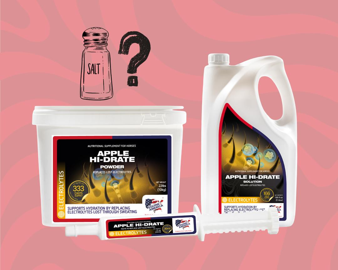 Do Horses Need Salt? Electrolytes, Salt Blocks & Hydration Explained
