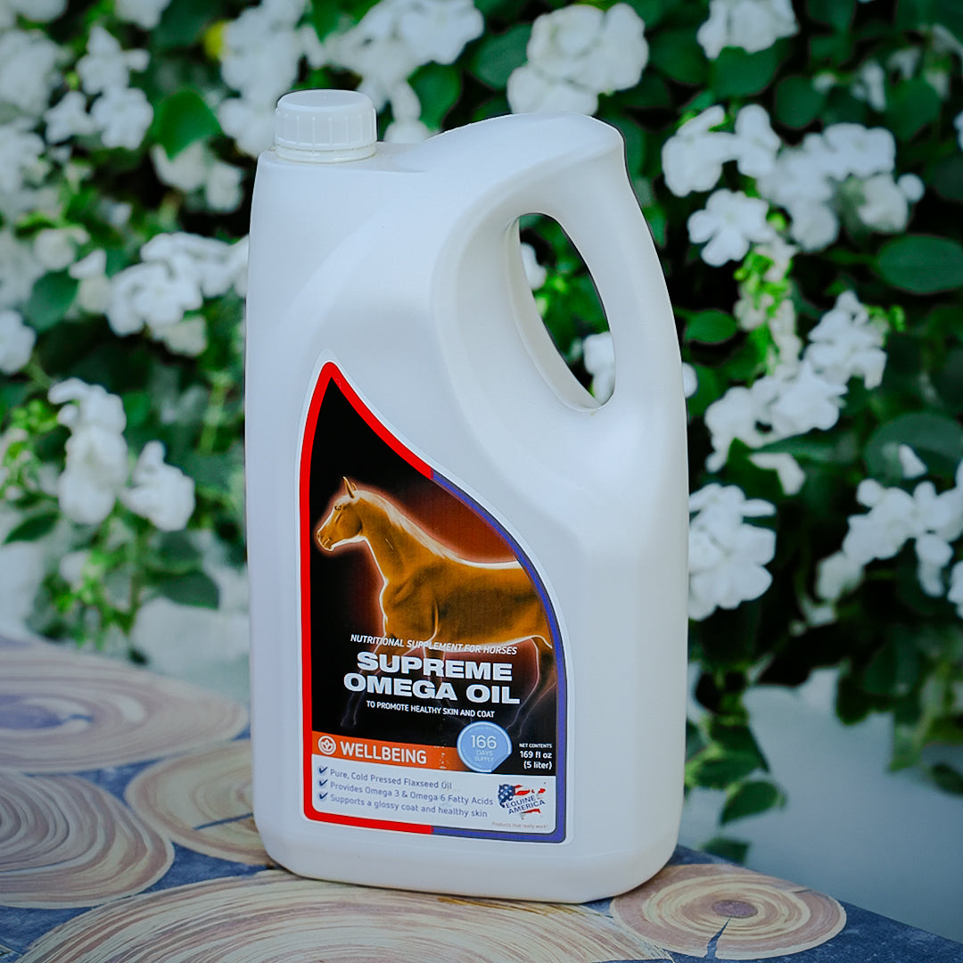 Everyday Shine: Why Omega Fatty Acids Matter for Skin, Coat, and Overall Wellbeing