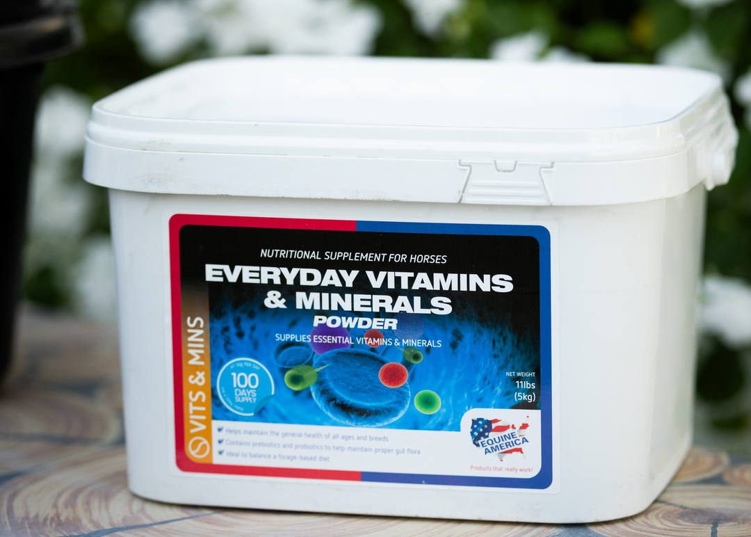 The Daily Foundation: Why Balanced Nutrition Matters More Mid-Season