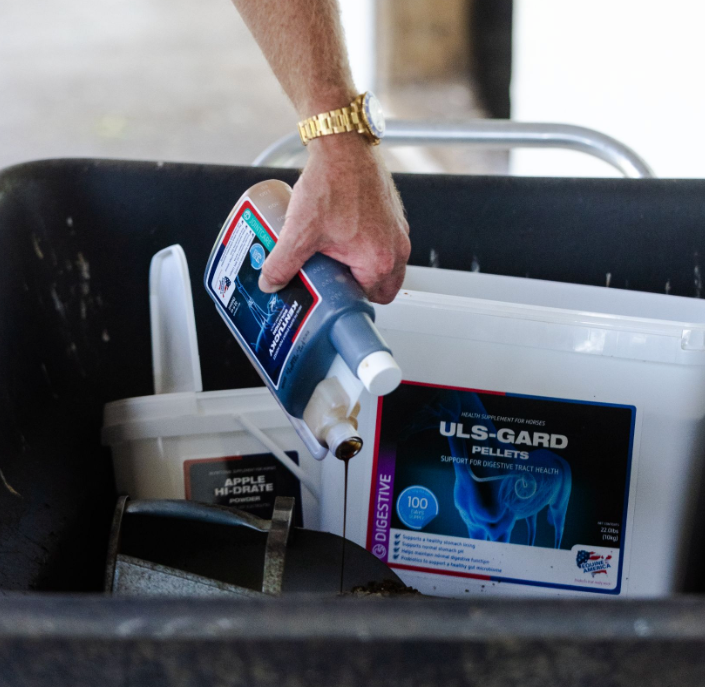 Building a Smarter Supplement Routine for Your Horse
