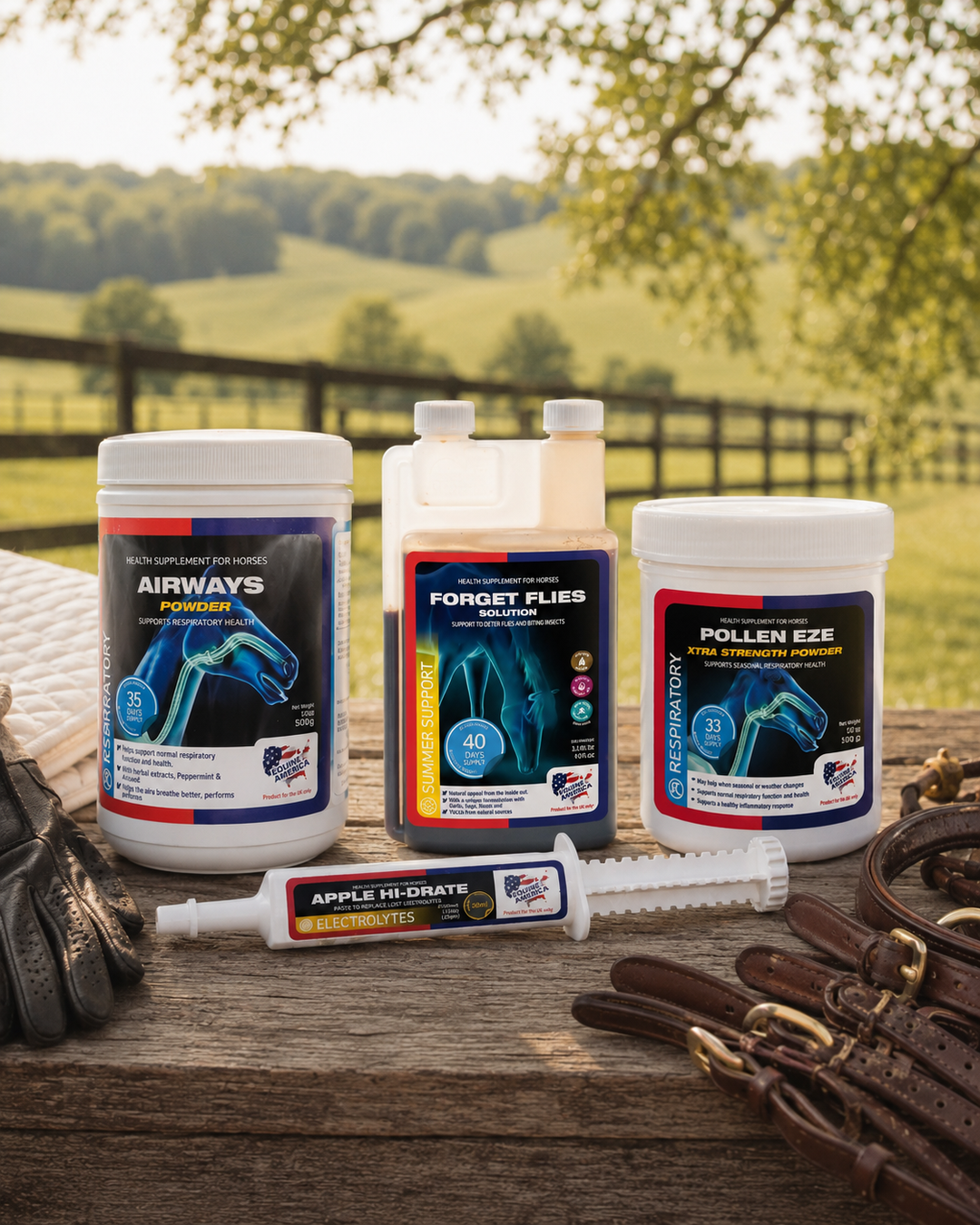 What Many Riders Prioritize During Summer Horse Care