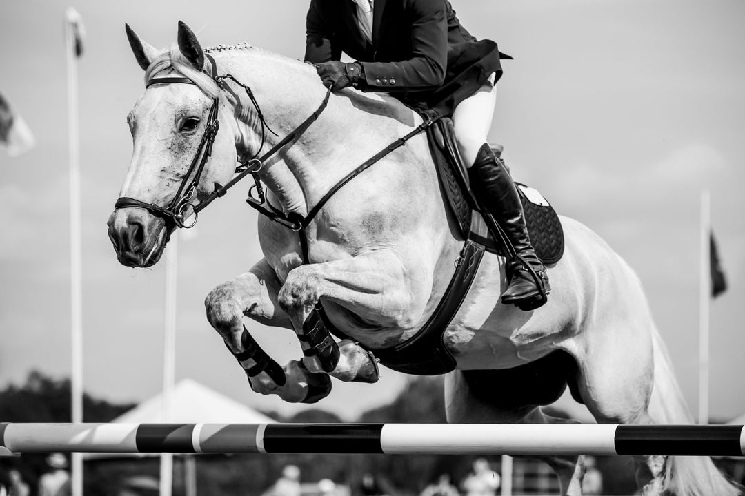 What Causes Stomach Ulcers in Horses? Understanding Risk Factors and Prevention