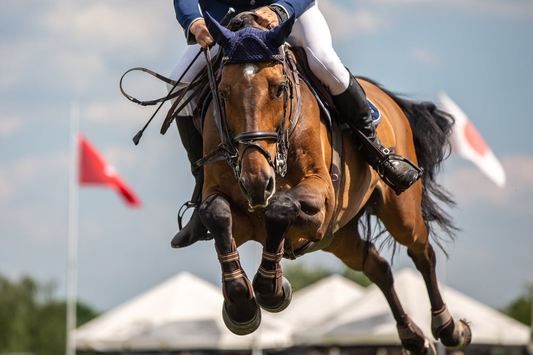 Choosing a Joint Supplement for Your Horse: What Riders Often Look For