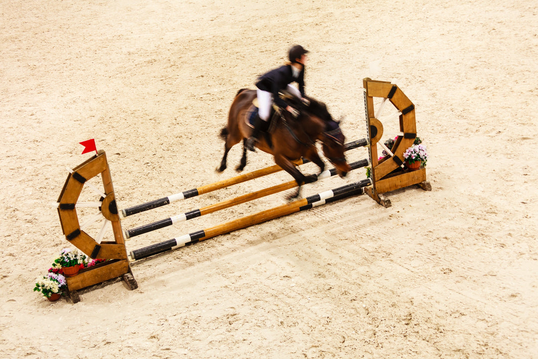Horse Mineral and Vitamin Supplements: Understanding Daily Nutrition and Trace Minerals