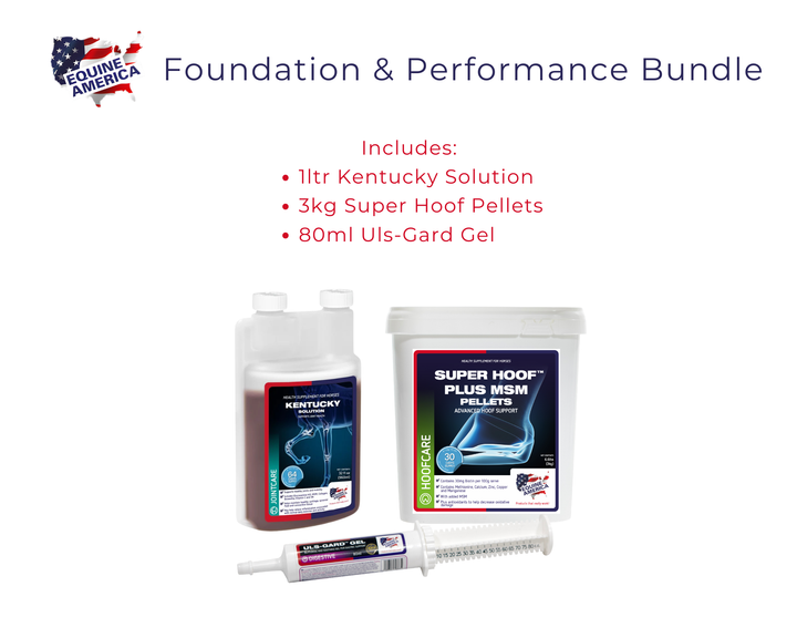 Foundation & Performance Bundle