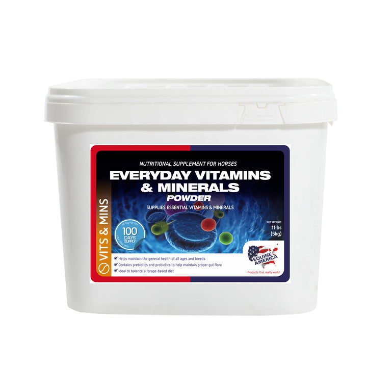 Everyday Vitamins & Minerals